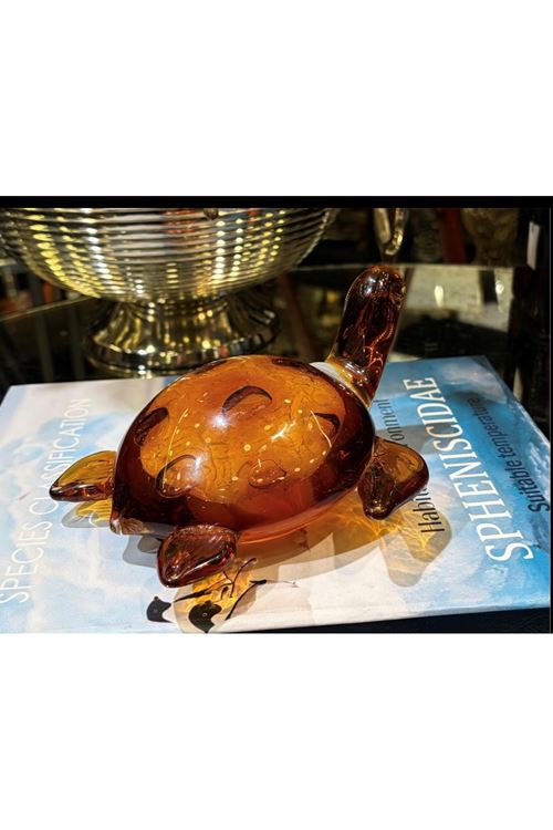 İTHAL CAM AMBER KABLUMBAĞA 