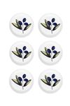 Olivos Sosluk Çerezlik 6lı Set 10 cm