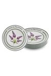 Provence Lavanta Servis Tabağı 6lı Set 26 cm PRC04